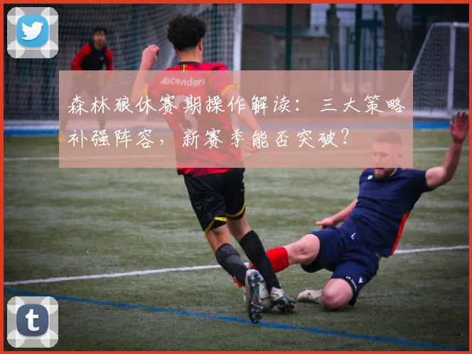 森林狼休赛期操作解读:三大策略补强阵容,新赛季能否突破?