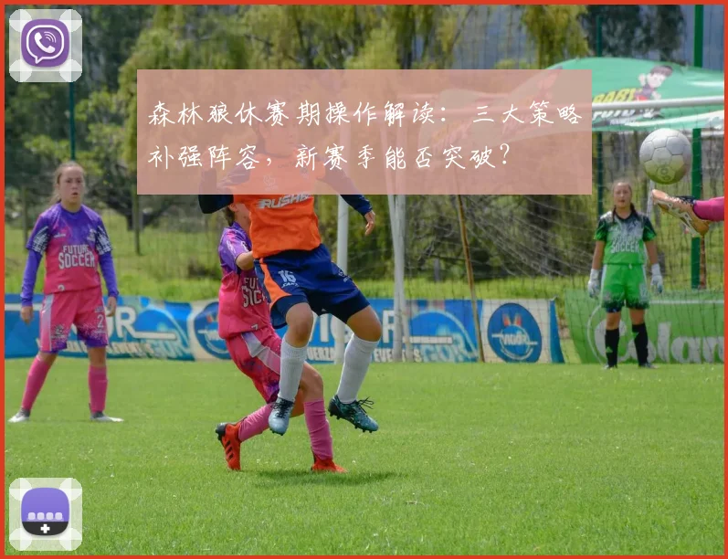 森林狼休赛期操作解读：三大策略补强阵容，新赛季能否突破？